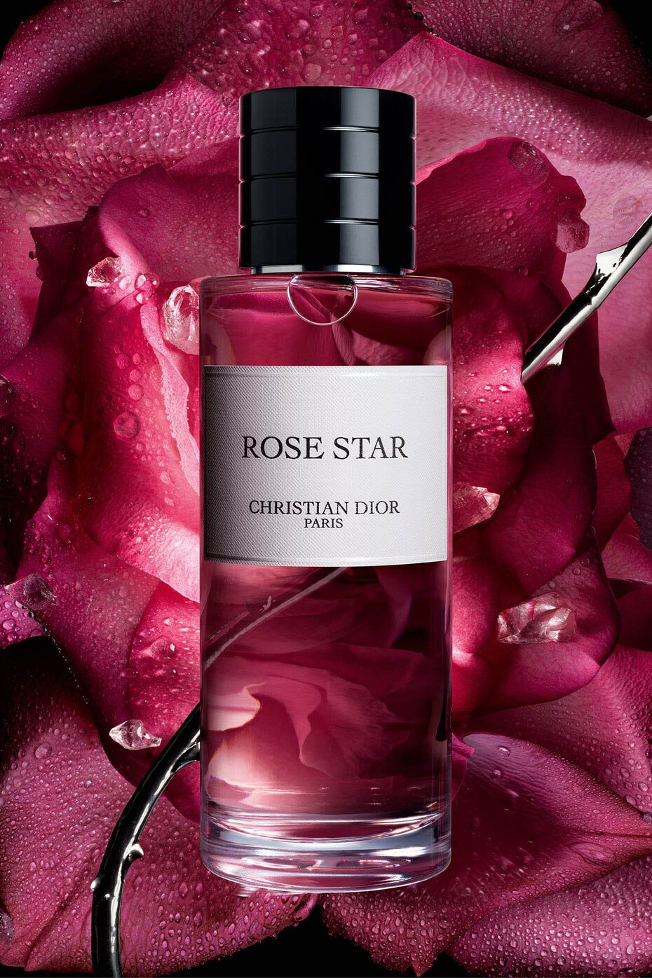 SAMPLE - Dior Rose Star Eau de Parfum